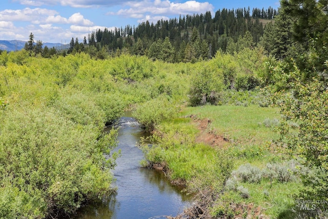 TBD Highway 95, New Meadows, ID 83654