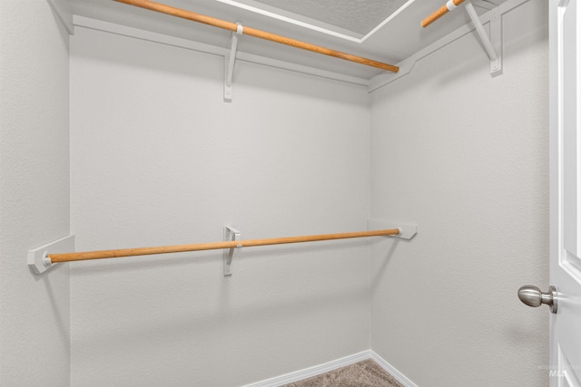 walk in closet with carpet flooring