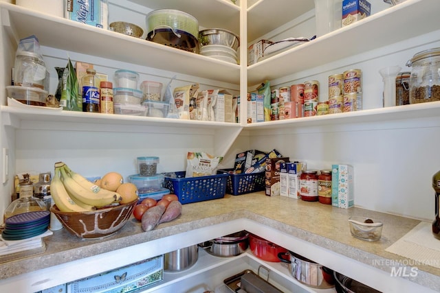 16089 N Basin Way, Boise, ID 83714 - view of pantry