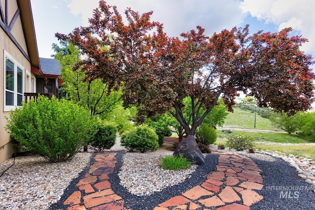 16089 N Basin Way, Boise, ID 83714 - view of yard