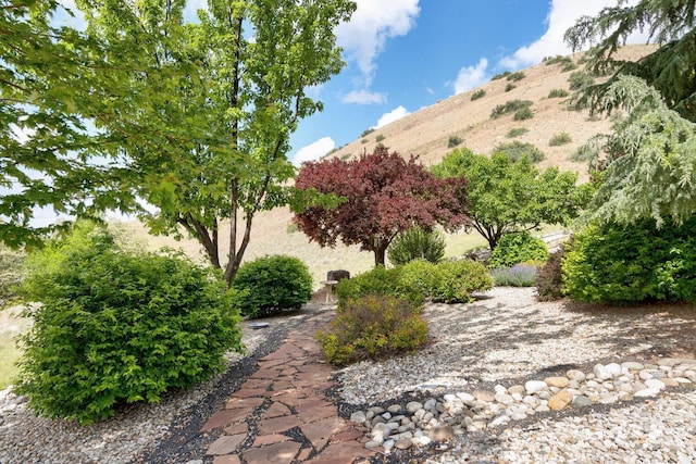 16089 N Basin Way, Boise, ID 83714 - view of yard featuring a mountain view