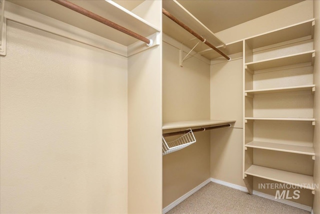 spacious closet with carpet floors