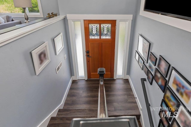 entryway with dark hardwood / wood-style floors and plenty of natural light