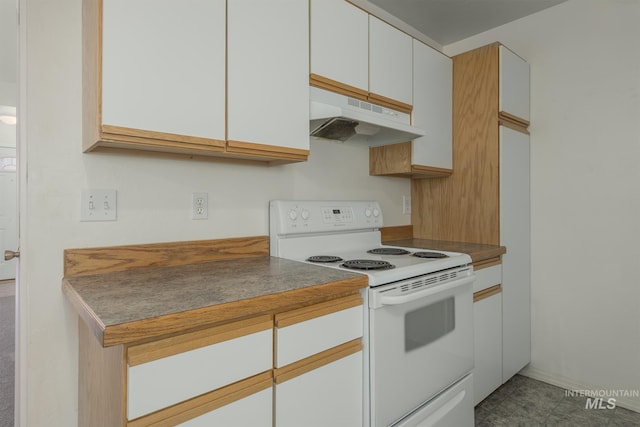 426 S Utah, Fruitland, ID 83619 - kitchen featuring electric stove, under cabinet range hood, and white cabinetry
