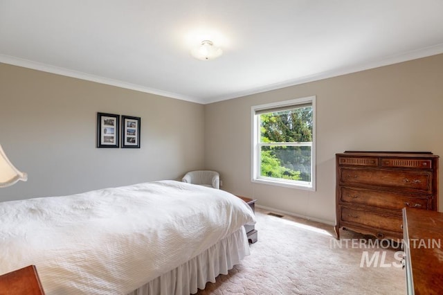 943 Colt Rd, Moscow, ID 83843 - bedroom featuring ornamental molding, light carpet, and baseboards