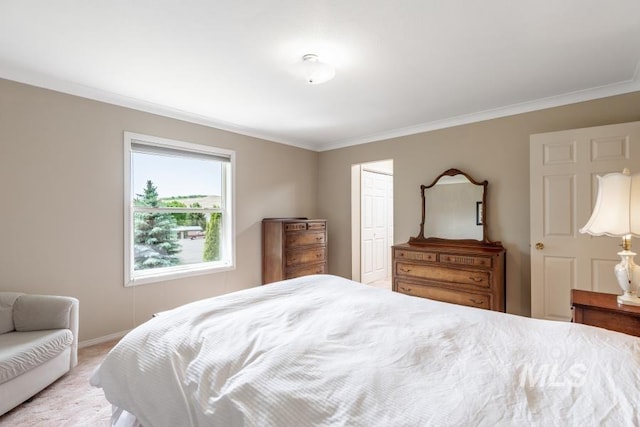 943 Colt Rd, Moscow, ID 83843 - bedroom with crown molding, baseboards, and a closet