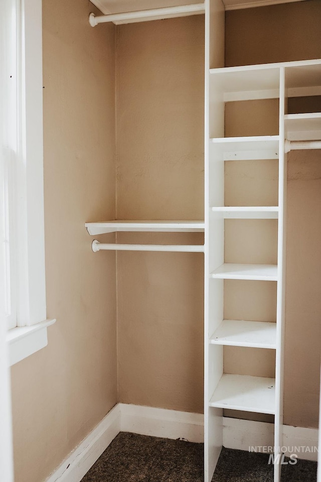 view of walk in closet