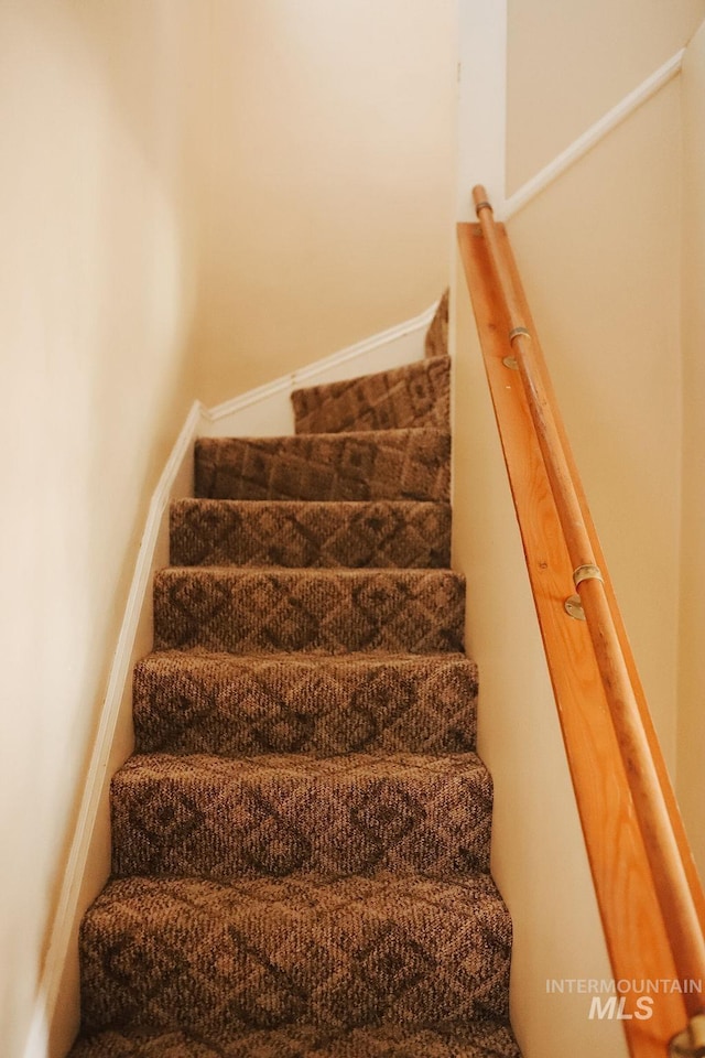 stairway featuring carpet floors