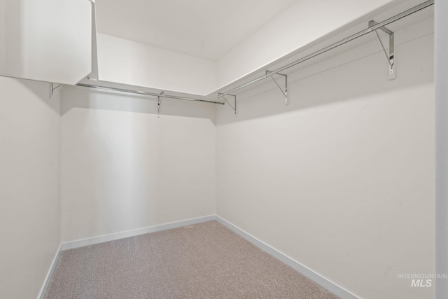 walk in closet with carpet