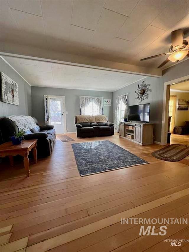 living room with ceiling fan and light hardwood / wood-style floors