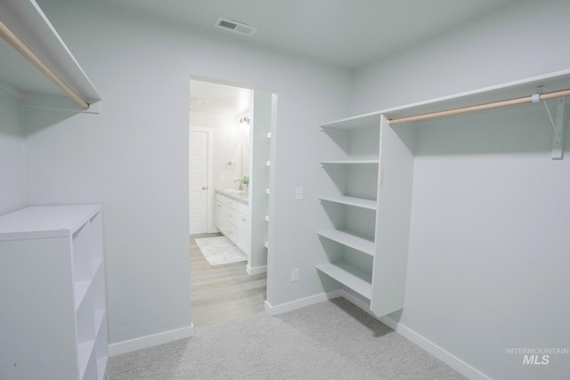 6073 W Mikonos St, Meridian, ID 83646 - walk in closet with a sink and light carpet