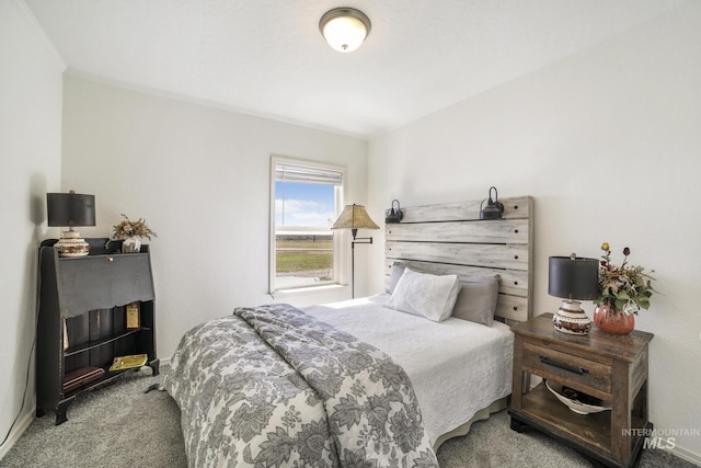 bedroom featuring carpet and ornamental molding