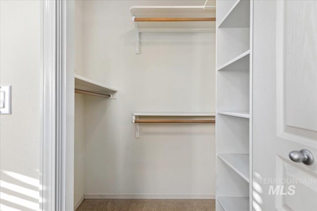 view of walk in closet