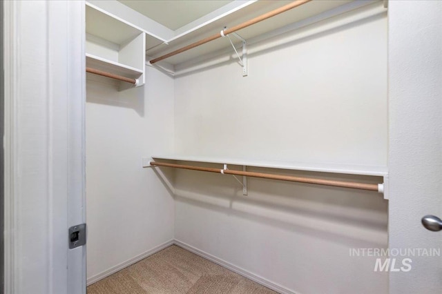 spacious closet featuring light colored carpet