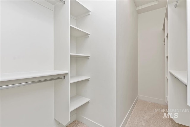 walk in closet featuring light carpet