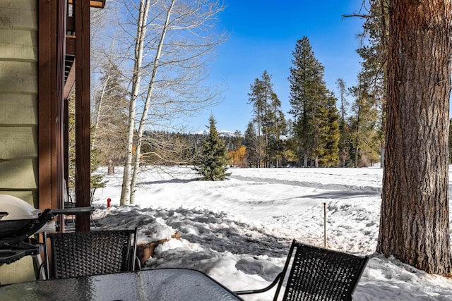 view of yard layered in snow