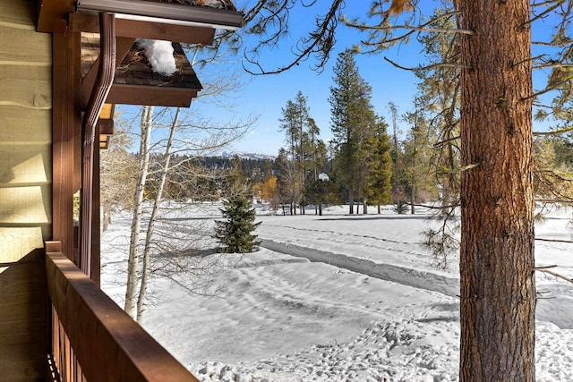 view of yard layered in snow