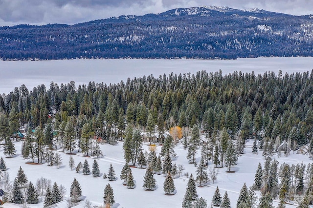 snowy aerial view featuring a mountain view and a view of trees