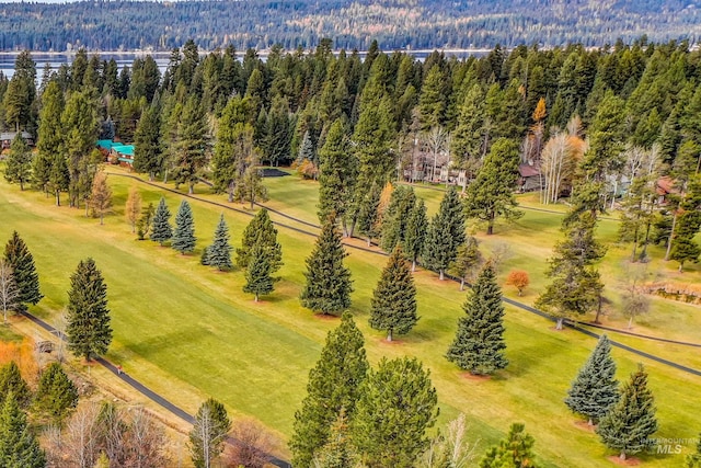 birds eye view of property featuring a forest view