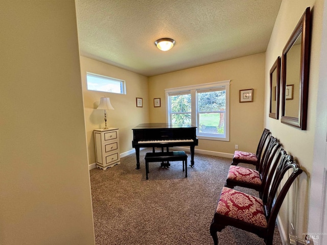 sitting room with baseboards, carpet flooring, and a textured ceiling