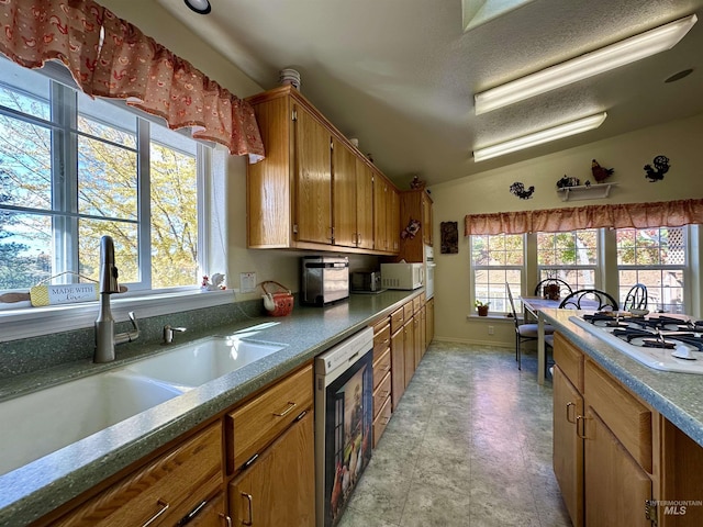 kitchen featuring brown cabinets, a healthy amount of sunlight, white appliances, and a sink