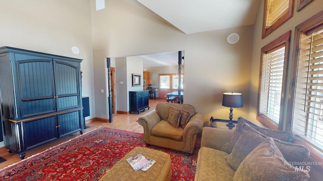 living room with wood-type flooring and high vaulted ceiling