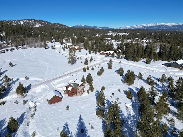 snowy aerial view featuring a mountain view