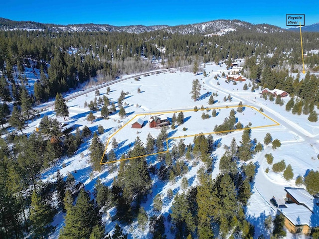 snowy aerial view featuring a mountain view