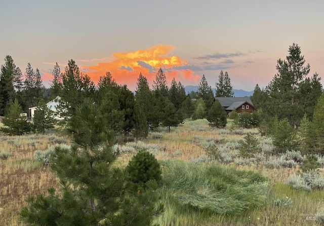 view of nature at dusk