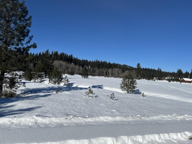 view of snowy yard