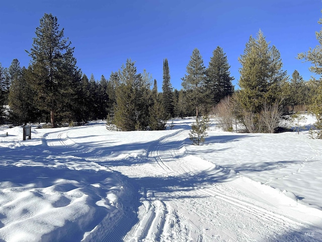 view of yard covered in snow