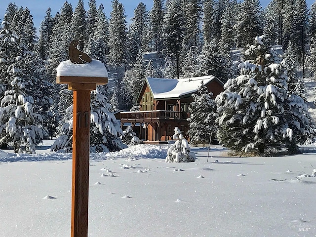 view of yard covered in snow