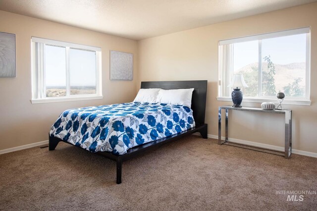 8600 W Brookside Ln, Boise, ID 83714 - carpeted bedroom with baseboards