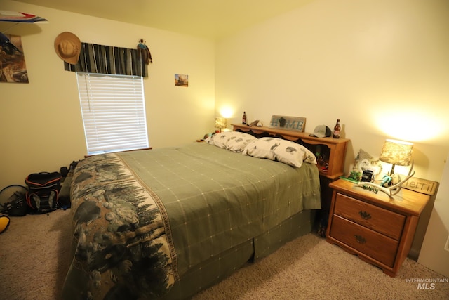 810 Pine St, Filer, ID 83328 - bedroom with light carpet