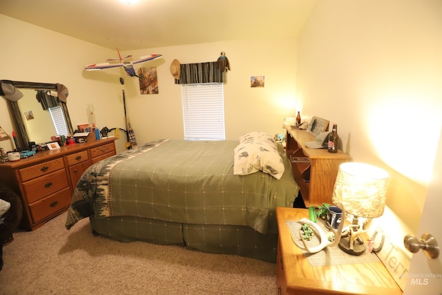 810 Pine St, Filer, ID 83328 - bedroom with carpet flooring