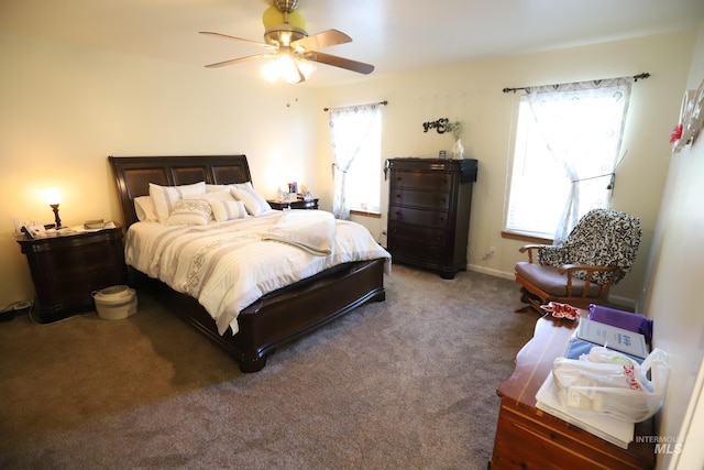 810 Pine St, Filer, ID 83328 - carpeted bedroom featuring multiple windows and ceiling fan
