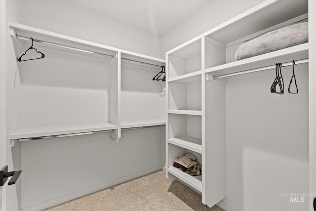 3928 E Haystack St Unit 2-208, Boise, ID 83716 - walk in closet with carpet