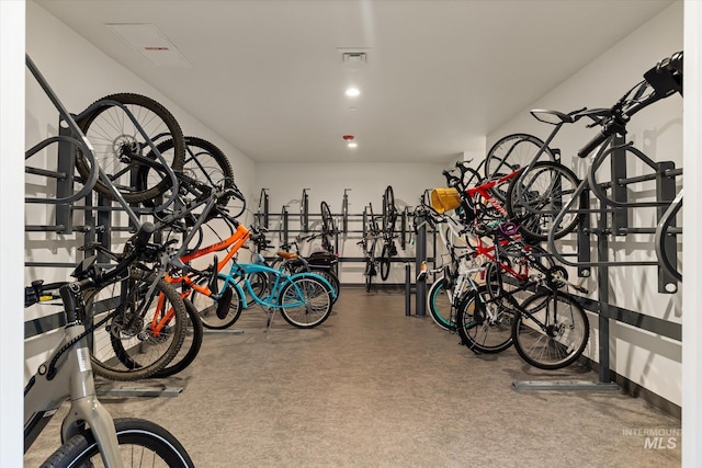 3928 E Haystack St Unit 2-208, Boise, ID 83716 - garage featuring bike storage