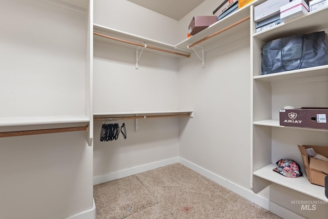 view of spacious closet
