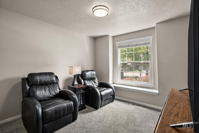 3401 S Murlo Way, Meridian, ID 83642 - sitting room with carpet floors, baseboards, and a textured ceiling