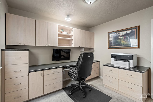 3401 S Murlo Way, Meridian, ID 83642 - office space with built in study area, light colored carpet, a textured ceiling, and baseboards