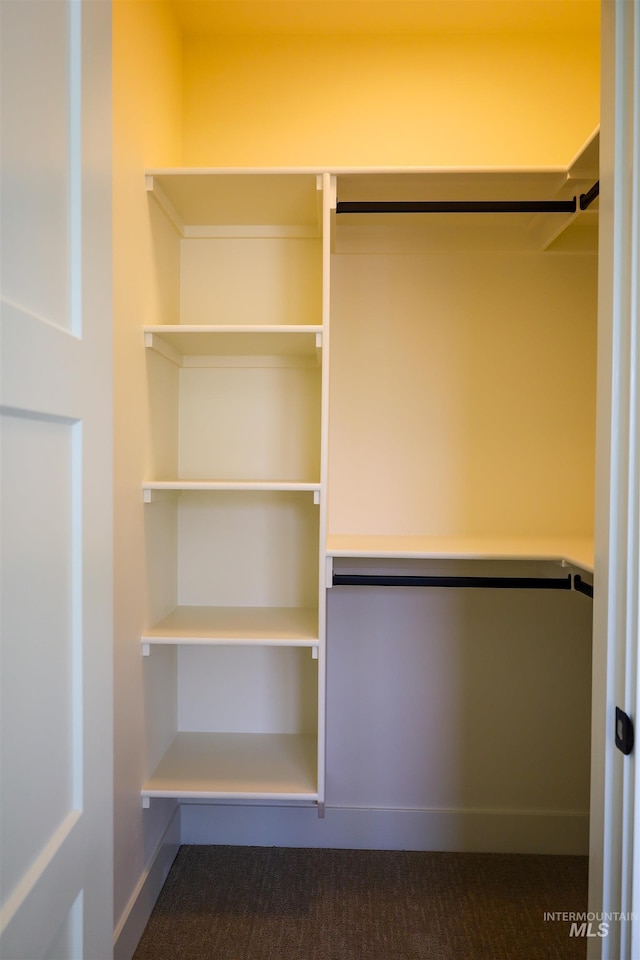 1038 E Fleetwood Ct, Boise, ID 83706 - view of closet