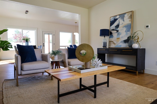 1038 E Fleetwood Ct, Boise, ID 83706 - living room featuring baseboards and wood finished floors
