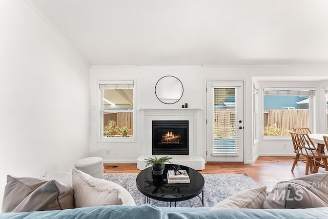 1545 N Ellington Way, Eagle, ID 83616 - living area featuring light wood finished floors, a lit fireplace, baseboards, and ornamental molding