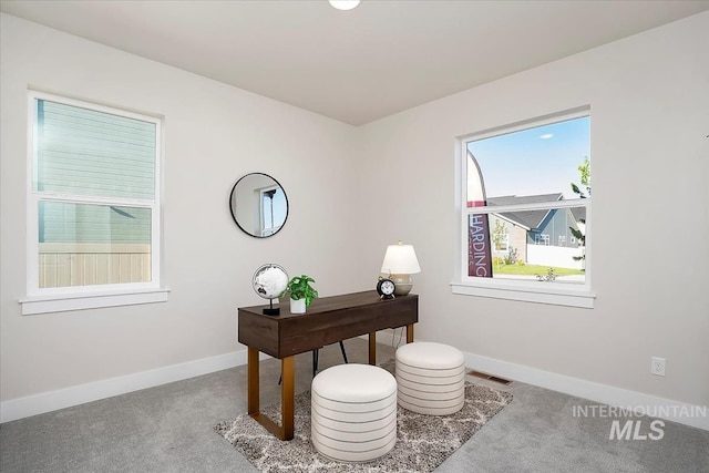 6200 S Binky Ave, Meridian, ID 83642 - carpeted office space with baseboards