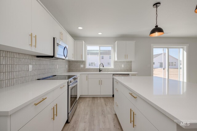 11104 W Teratai St, Star, ID 83669