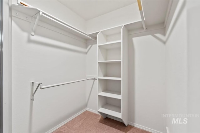11909 W Patrina Dr, Boise, ID 83713 - spacious closet with carpet floors