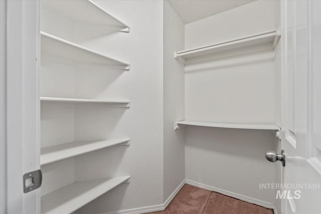 11909 W Patrina Dr, Boise, ID 83713 - walk in closet featuring carpet floors