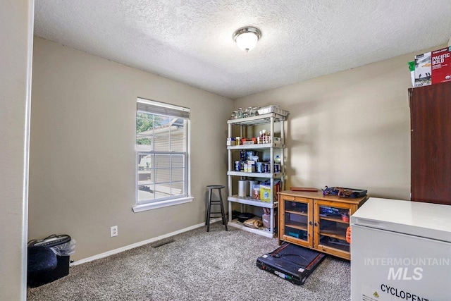 914 Aspenwood Ln, Twin Falls, ID 83301 - miscellaneous room with a textured ceiling, carpet floors, and baseboards