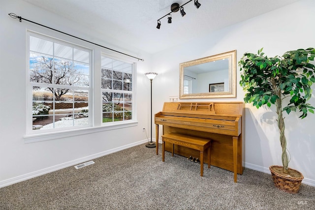 miscellaneous room featuring carpet